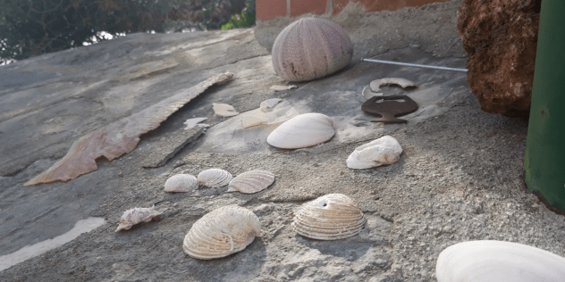 Interessante Fakten und Entwicklungen der Vergangenheit - Ausblicke in 2024