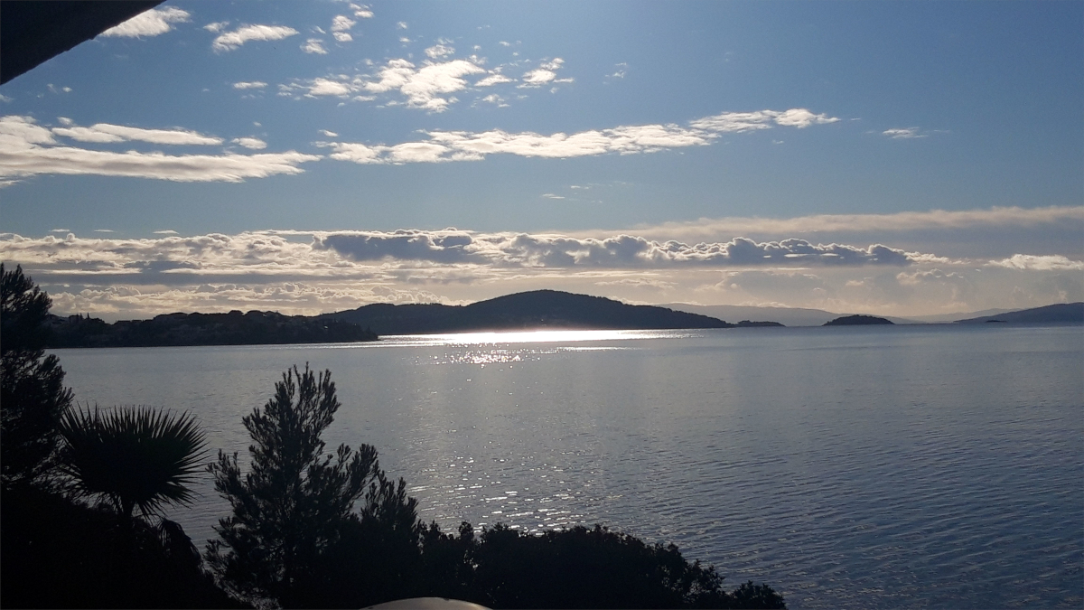 Projektentwicklung Dr. Nikolaus Andre