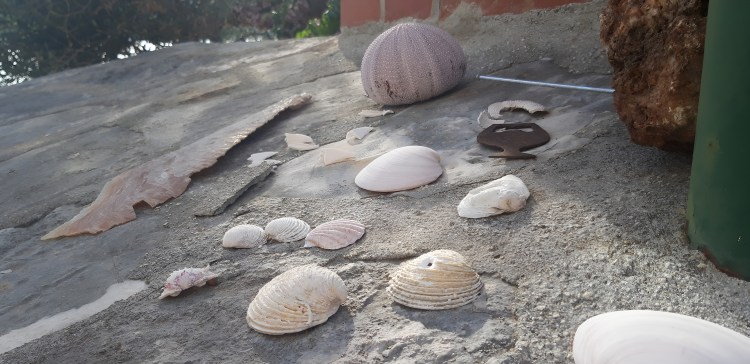 Projektentwicklung und Unternehmensberatung Dr. Nikolaus Andre